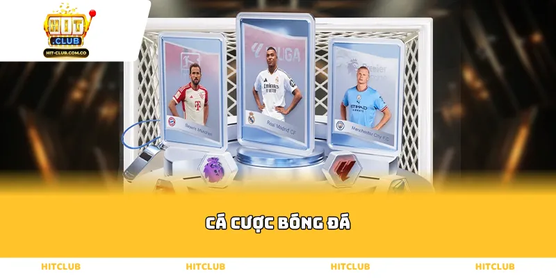 Cá cược bóng đá